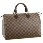 Louis Vuitton Damier Speedy 35