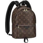 Louis Vuitton Monogram Palm Springs Backpack PM