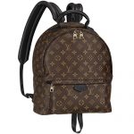 Louis Vuitton Monogram Palm Springs Backpack MM 18926711