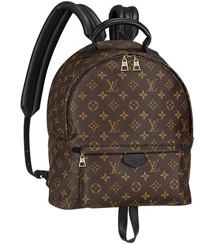 Louis Vuitton Monogram Palm Springs Backpack MM 18926711