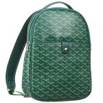 Goyard Chevron Green Backpack 18927366