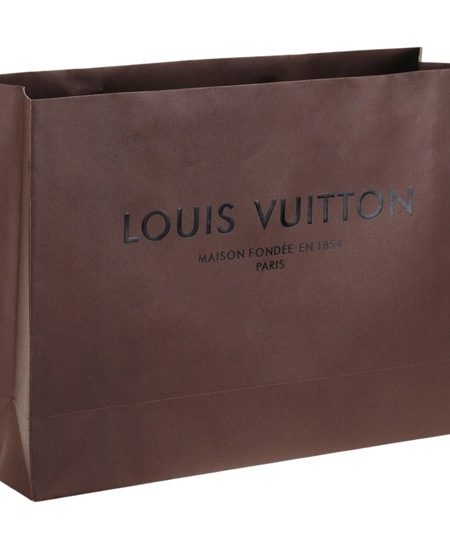 Louis Vuitton Large Paper Bag