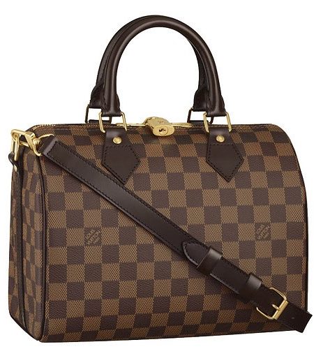 Louis Vuitton Damier Speedy 25 with Shoulder Strap