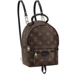 Louis Vuitton Monogram Palm Springs Backpack Mini