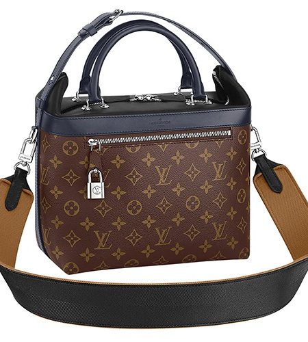 Louis Vuitton Monogram Canvas And Calfskin City Cruiser PM 18927245