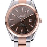 Omega Seamaster Brown Dial Two Tone  622168
