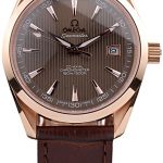 Omega Swiss Seamaster Railmaster Brown Strap Brown Striped Dial