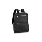 LOUIS VUITTON AVENUE BACKPACK N41043