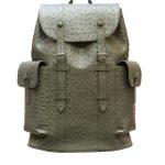 LOUIS VUITTON CHRISTOPHER PM M41379