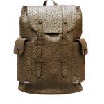 LOUIS VUITTON CHRISTOPHER PM M41379 -1