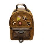 LOUIS VUITTON PALM SPRINGS BACKPACK MINI M41562 -2