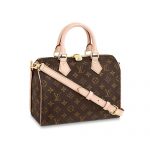 LOUIS VUITTON SPEEDY BANDOULIERE 25 M41113