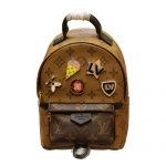 LOUIS VUITTON PALM SPRINGS BACKPACK MINI M42411