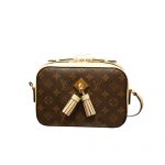 LOUIS VUITTON SAINTONGE M43555