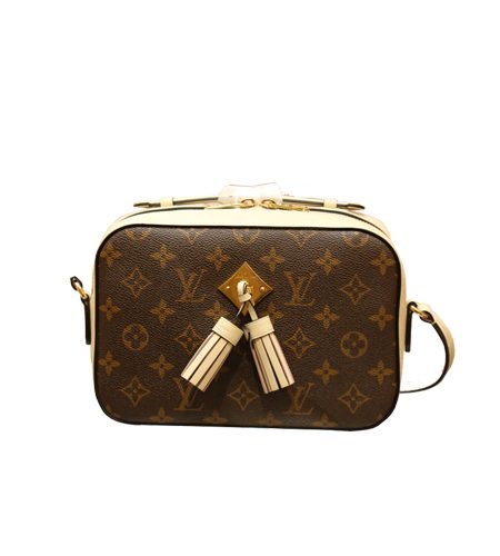 LOUIS VUITTON SAINTONGE M43555