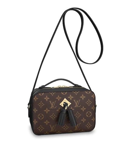 LOUIS VUITTON SAINTONGE M43555 -2