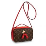 LOUIS VUITTON SAINTONGE M43556