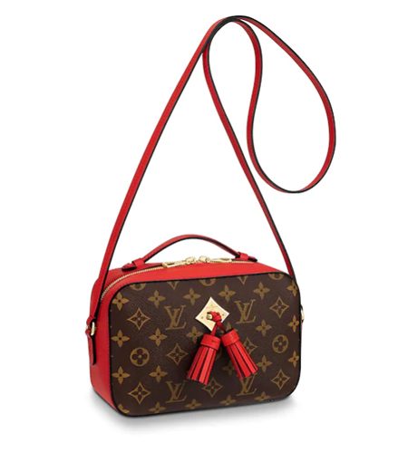 LOUIS VUITTON SAINTONGE M43556