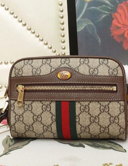 Gucci Ophidia Bag