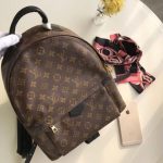 LOUIS VUITTON PALM SPRINGS BACKPACK