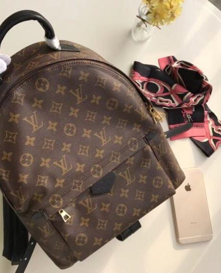 LOUIS VUITTON PALM SPRINGS BACKPACK