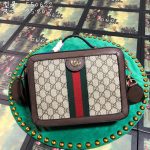 Gucci Ophidia Bag