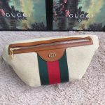 Gucci Vintage Canvas Belt Bag