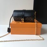 LOUIS VUITTON Glasses Case