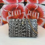 Gucci ophidia