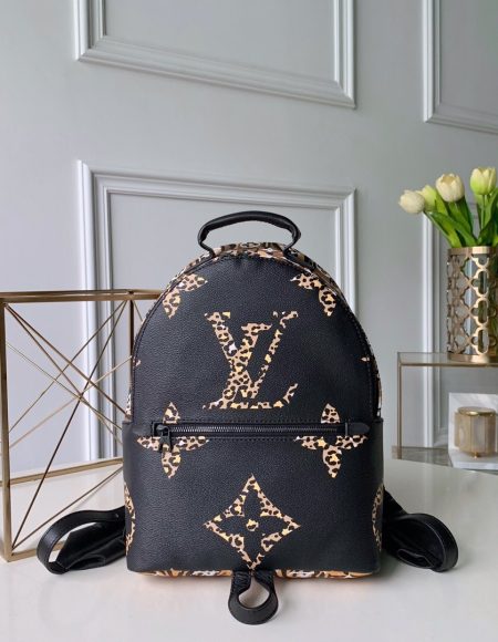 Louis Vuitton palm springs Backpack