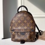 Louis Vuitton Backpack