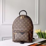 LOUIS VUITTON Backpack