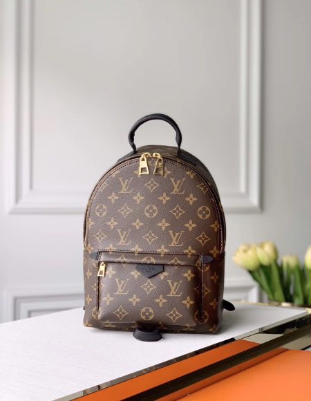 LOUIS VUITTON Backpack