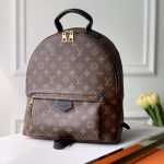 LOUIS VUITTON Backpack