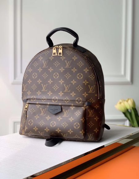 LOUIS VUITTON Backpack