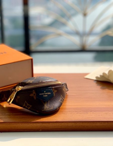Louis Vuitton Coin Purse