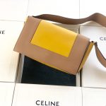 Celine Frame Bag