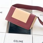 Celine Frame Bag