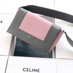 Celine Frame Bag