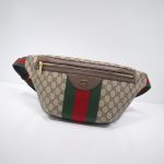Gucci GG Canvas Belt Bag
