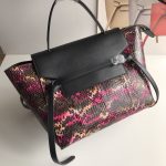 Celine Belt Mini Bag