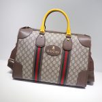 Gucci Travel bag