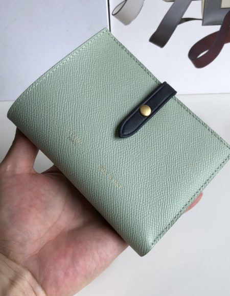 Celine Wallet