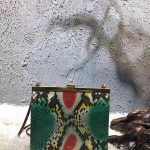 Celine Mini Clasp Bag