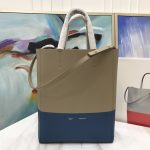 Celine Cabas Bag