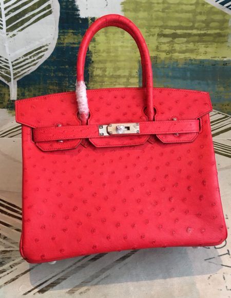 Hermes birkin