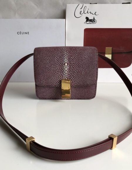 Celine Box Bag