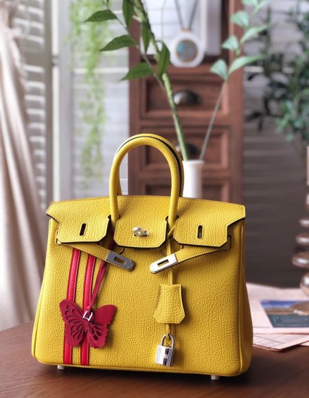Hermes birkin 25