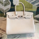 Hermes birkin
