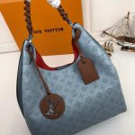 Louis Vuitton CAREL HOBO